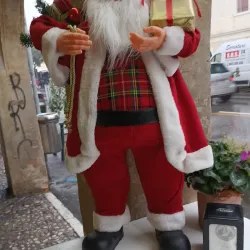 Mercato di Treviso - Treviso