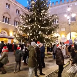 Piazza dei Signori - Treviso