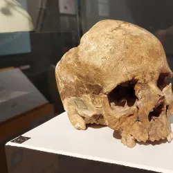 Civico Museo di Storia ed Arte - Trieste