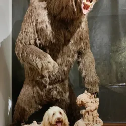 Civico Museo di Storia ed Arte - Trieste