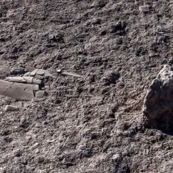 Archaeological Site of Salapia - Trinitapoli