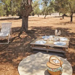 Olive Groves and Countryside Walks - Trinitapoli