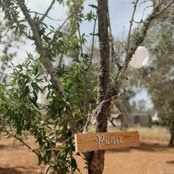 Olive Groves and Countryside Walks - Trinitapoli