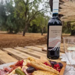 Olive Groves and Countryside Walks - Trinitapoli