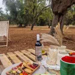 Olive Groves and Countryside Walks - Trinitapoli