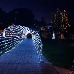 Parco Comunale di Trinitapoli - Trinitapoli