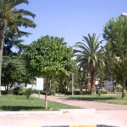 Parco Comunale di Trinitapoli - Trinitapoli