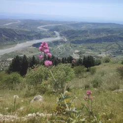 Norman Castle of Tropea - Tropea