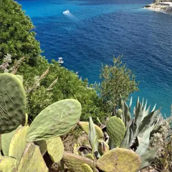 Tropea Historic Center - Tropea