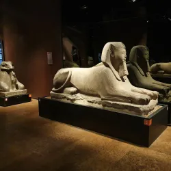 Egyptian Museum (Museo Egizio) - Turin