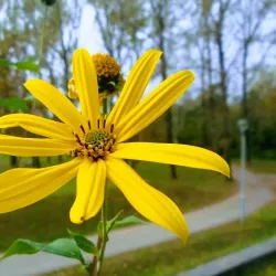 Parco del Cormor - Udine