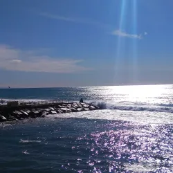 Local Markets and Festivals - Varazze