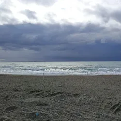 Local Markets and Festivals - Varazze