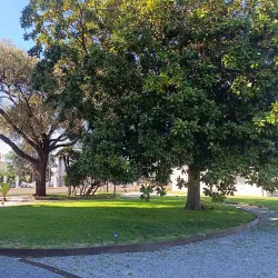 Villa Zanelli - Varazze