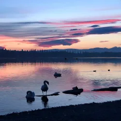 Lake Varese - Varese