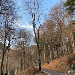 Monte Campo dei Fiori - Varese
