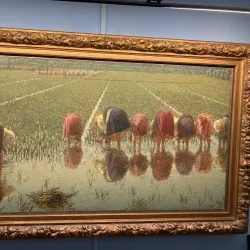 Museo Borgogna - Vercelli