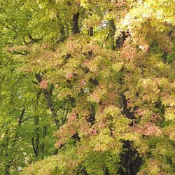 Parco Kennedy - Vercelli