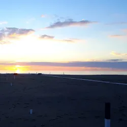 Lungomare di Levante - Viareggio