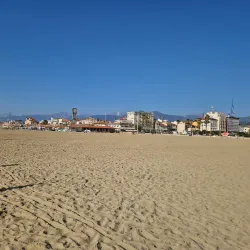 Passeggiata di Viareggio - Viareggio