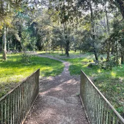 Pineta di Ponente - Viareggio
