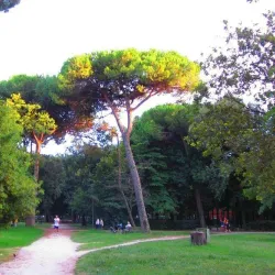 Pineta di Ponente - Viareggio