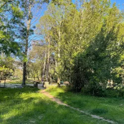 Pineta di Ponente - Viareggio