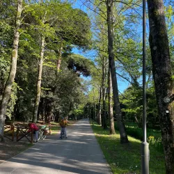 Pineta di Ponente - Viareggio