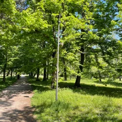 Pineta di Ponente - Viareggio