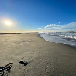 Viareggio Beach - Viareggio