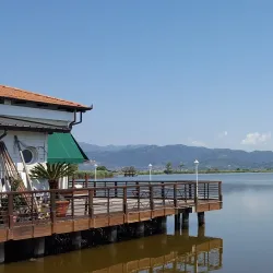 Villa Puccini - Viareggio