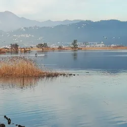 Villa Puccini - Viareggio