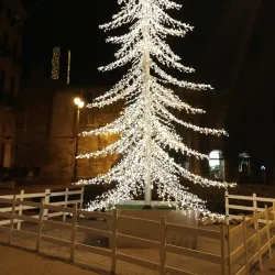 Corso Palladio - Vicenza