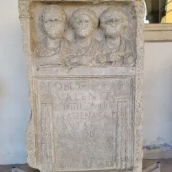 Museo Naturalistico Archeologico - Vicenza