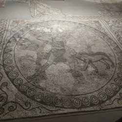 Museo Naturalistico Archeologico - Vicenza