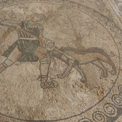 Museo Naturalistico Archeologico - Vicenza