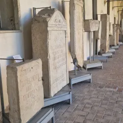 Museo Naturalistico Archeologico - Vicenza