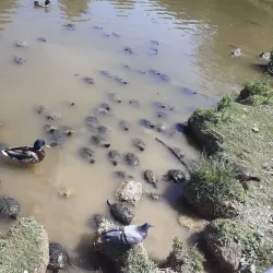 Parco Querini - Vicenza