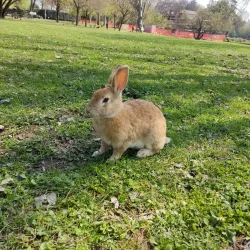 Parco Querini - Vicenza