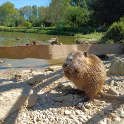 Parco Querini - Vicenza