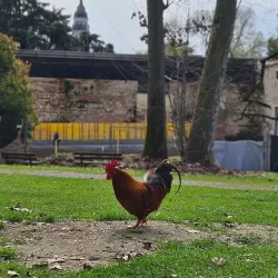 Parco Querini - Vicenza