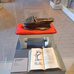 Museo della Calzatura (Shoe Museum) - Vigevano
