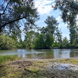 Parco del Ticino - Vigevano