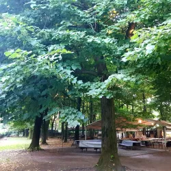 Parco del Ticino - Vigevano