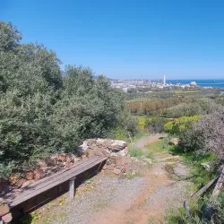 Nuraghe Sa Domu 'e S'Orcu - Villacidro