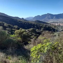 Nuraghe Sa Domu 'e S'Orcu - Villacidro