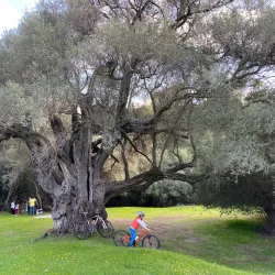 Parco di San Giorgio - Villacidro