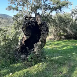 Parco di San Giorgio - Villacidro
