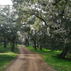 Parco di San Giorgio - Villacidro