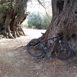 Parco di San Giorgio - Villacidro